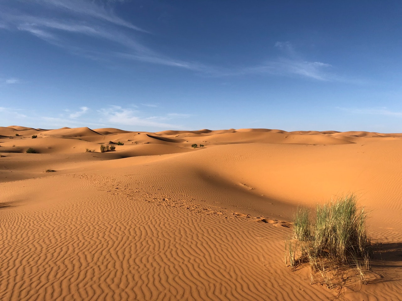 DESERT, EGYPT